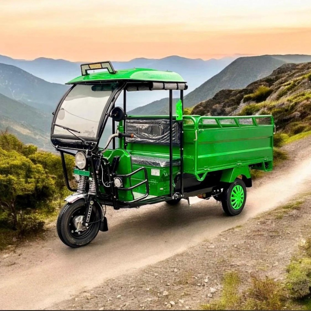 Custom E-Vehicles